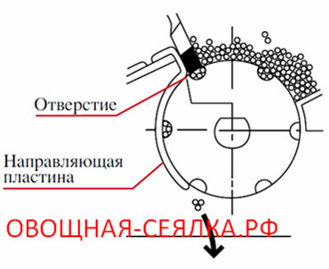 Ручная сеялка для мелких семян своими руками чертежи и размеры